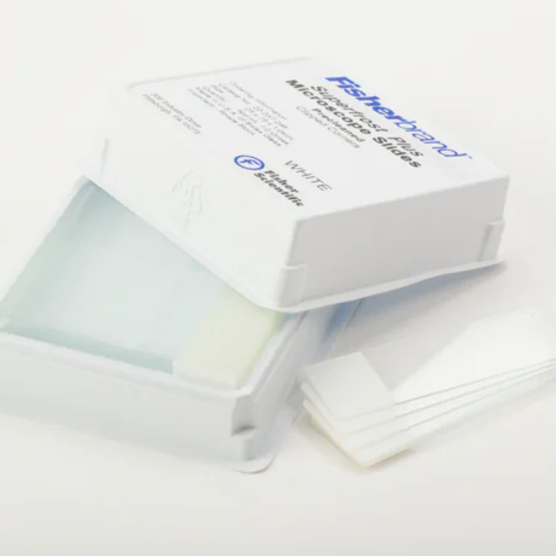 Superfrost® Plus Microscope Slide